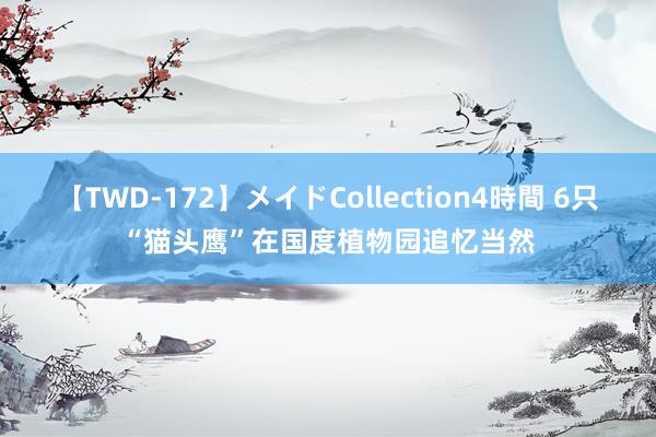 【TWD-172】メイドCollection4時間 6只“猫头鹰”在国度植物园追忆当然