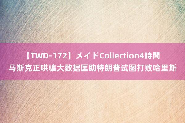 【TWD-172】メイドCollection4時間 马斯克正哄骗大数据匡助特朗普试图打败哈里斯