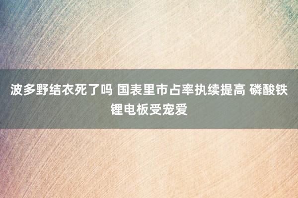 波多野结衣死了吗 国表里市占率执续提高 磷酸铁锂电板受宠爱