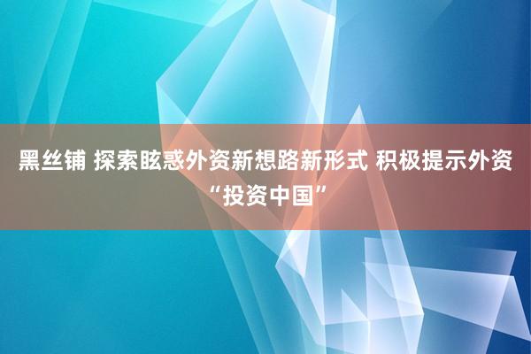 黑丝铺 探索眩惑外资新想路新形式 积极提示外资“投资中国”