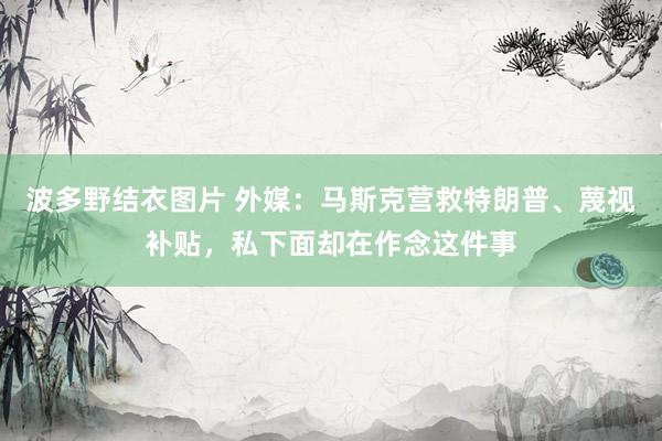 波多野结衣图片 外媒：马斯克营救特朗普、蔑视补贴，私下面却在作念这件事