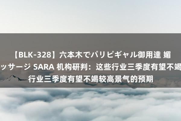 【BLK-328】六本木でパリピギャル御用達 媚薬悶絶オイルマッサージ SARA 机构研判：这些行业三季度有望不竭较高景气的预期