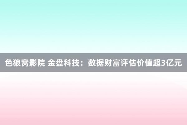 色狼窝影院 金盘科技：数据财富评估价值超3亿元