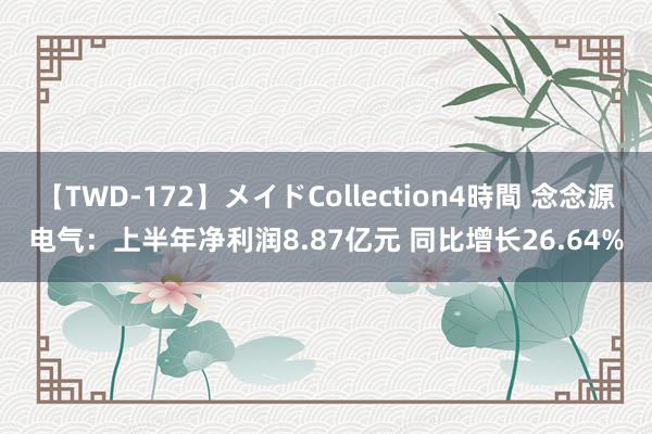 【TWD-172】メイドCollection4時間 念念源电气：上半年净利润8.87亿元 同比增长26.64%