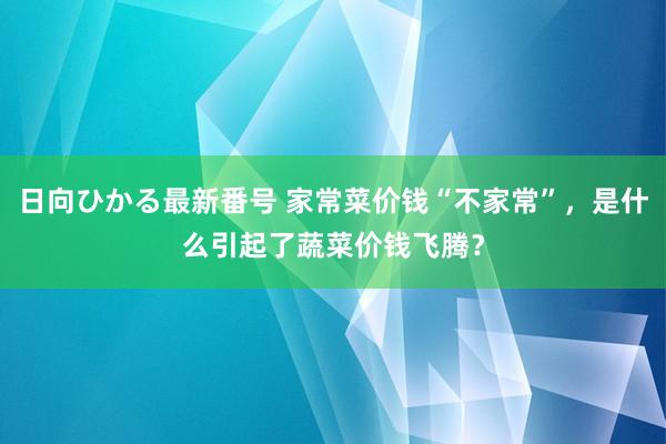 日向ひかる最新番号 家常菜价钱“不家常”，是什么引起了蔬菜价钱飞腾？