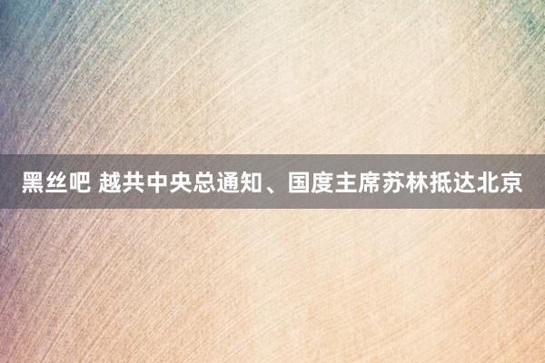 黑丝吧 越共中央总通知、国度主席苏林抵达北京