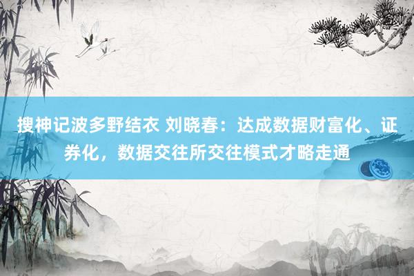 搜神记波多野结衣 刘晓春：达成数据财富化、证券化，数据交往所交往模式才略走通