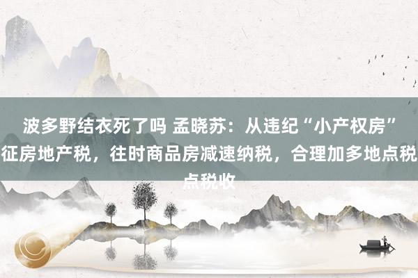 波多野结衣死了吗 孟晓苏：从违纪“小产权房”起征房地产税，往时商品房减速纳税，合理加多地点税收