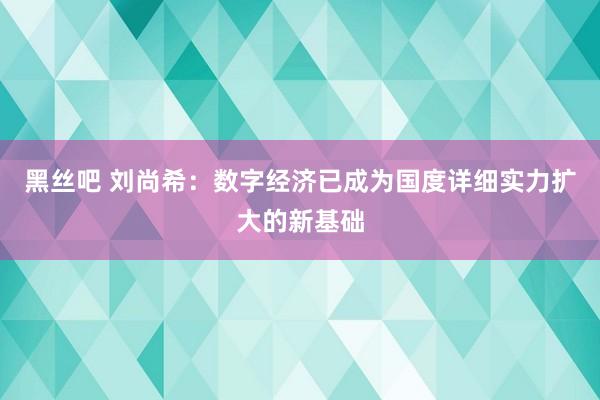 黑丝吧 刘尚希：数字经济已成为国度详细实力扩大的新基础