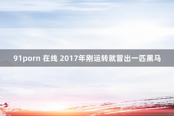 91porn 在线 2017年刚运转就冒出一匹黑马