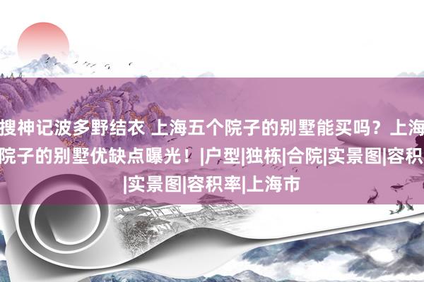 搜神记波多野结衣 上海五个院子的别墅能买吗？上海嘉定五个院子的别墅优缺点曝光！|户型|独栋|合院|实景图|容积率|上海市