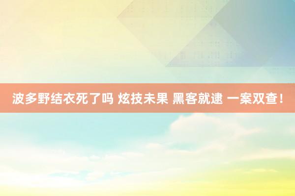 波多野结衣死了吗 炫技未果 黑客就逮 一案双查！