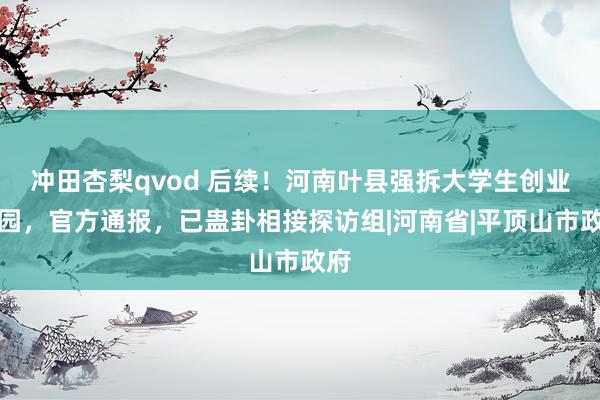 冲田杏梨qvod 后续！河南叶县强拆大学生创业果园，官方通报，已蛊卦相接探访组|河南省|平顶山市政府